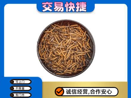 朔州回收散虫草